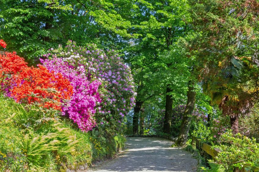 Villa Tagini 10 minutes from Stresa - foto 34