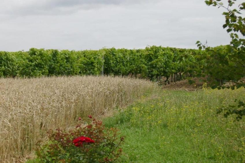 Maison de vacances - SERILHAC - foto 34