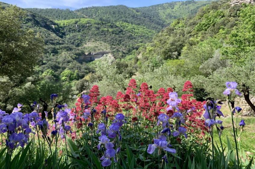 Villa Ardeche - foto 33