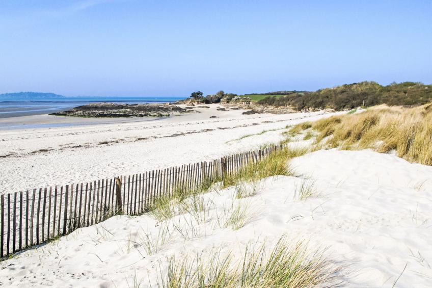 Les Agapanthes - foto 43