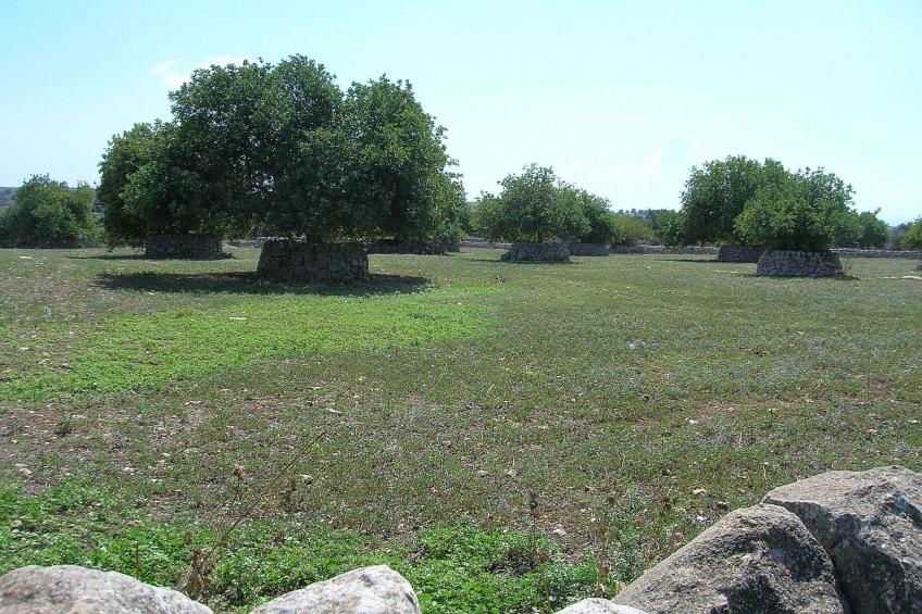 Charmantes Dachgeschoss mit Terrasse mit Blick auf die Landschaft. - foto 43
