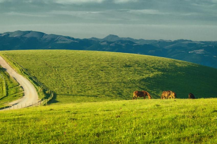 Il Poggio Degli Olivi Superior 2-room 2 - foto 20