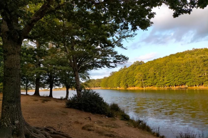 "Haus am Meer in Sizilien" - foto 32