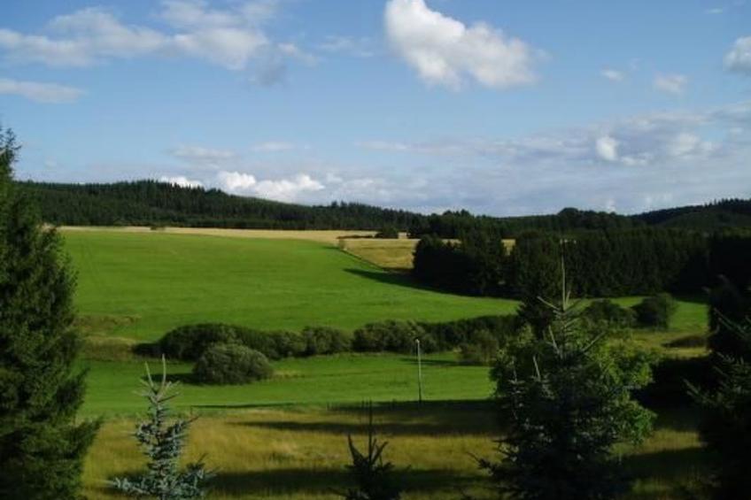 Eifelcottage Wildvogel - foto 27