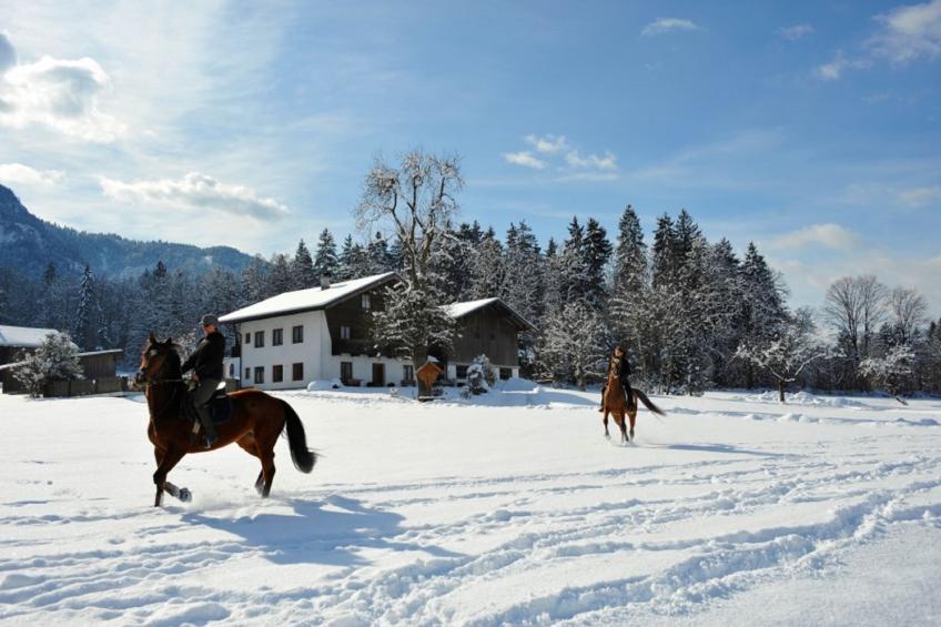 Brixental Suites 1 - foto 17
