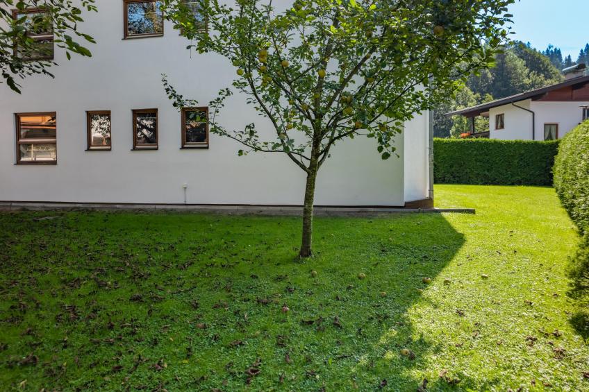 Wald TOP 1 - foto 32