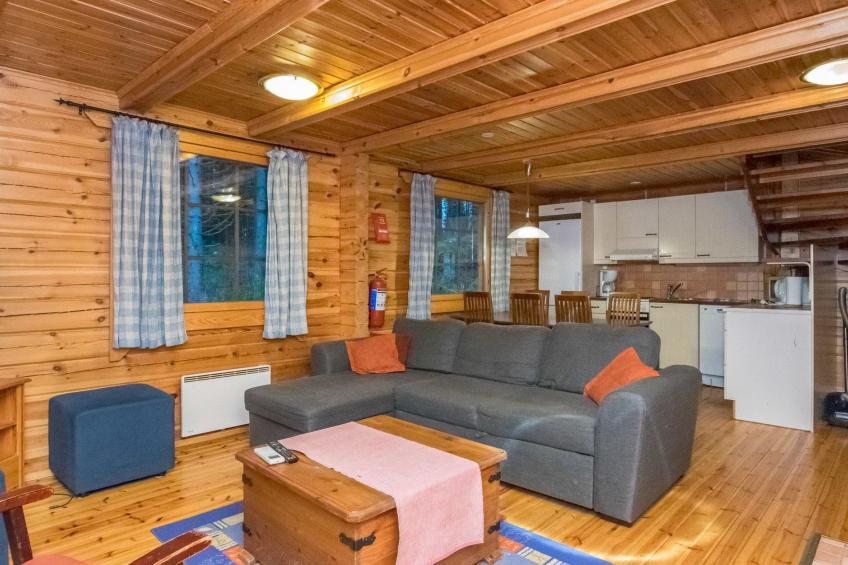 Mustikka, leppäniemen hirsihuvilat - foto 14