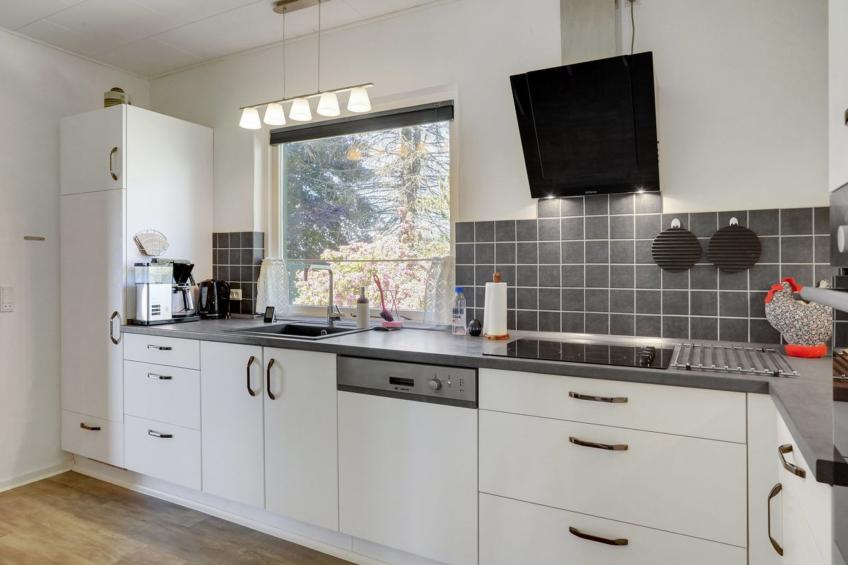 "Slavjanka" - 2km from the sea in Lolland, Falster and Mon - foto 9