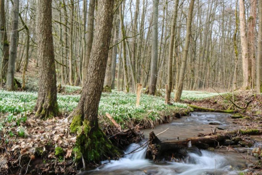 Švýcarka - foto 46