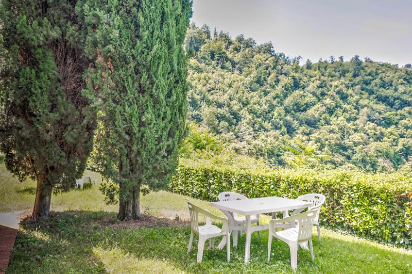 Castagno - foto 7