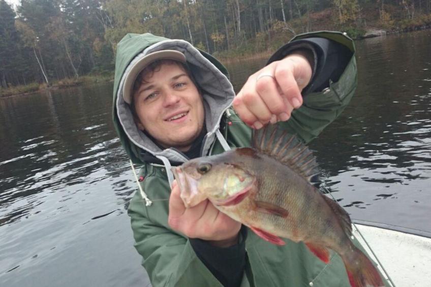 Abborren mit eigenem Ruderboot - foto 19