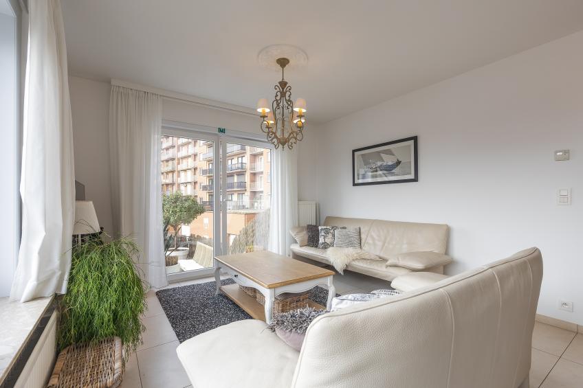 Rising Sun - 0101 - foto 2