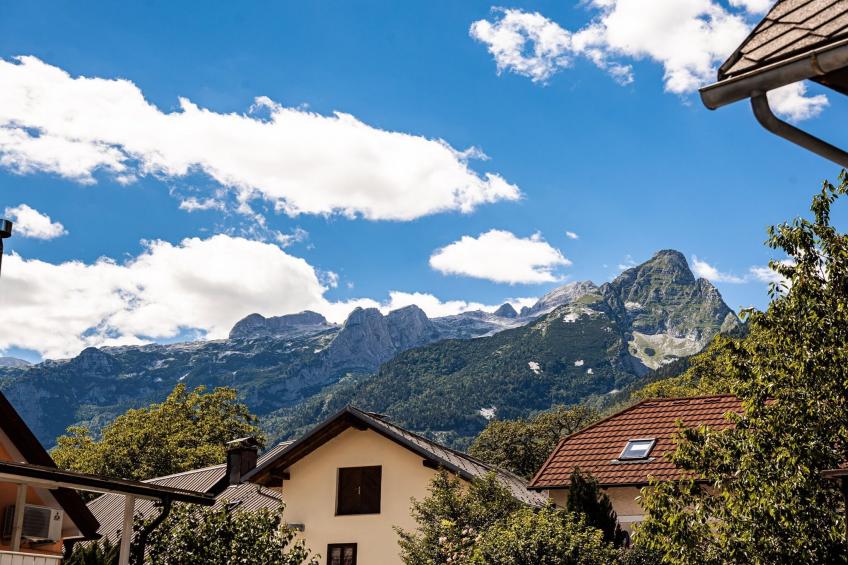 Mountain View Haven Apartments - One Bedroom Apartment  with Balcony - foto 32