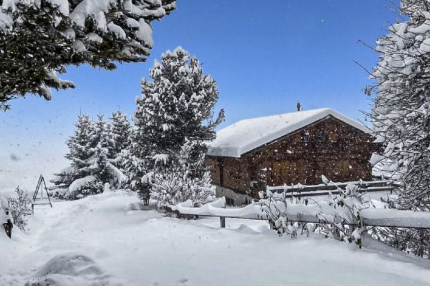 Chalet Albarose - Vercorin