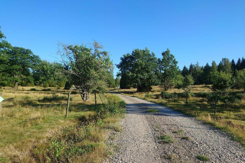 BF-HYR9H - foto 8