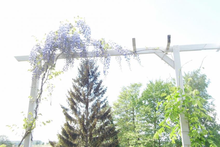 am malerischen Nepperminer See - foto 36