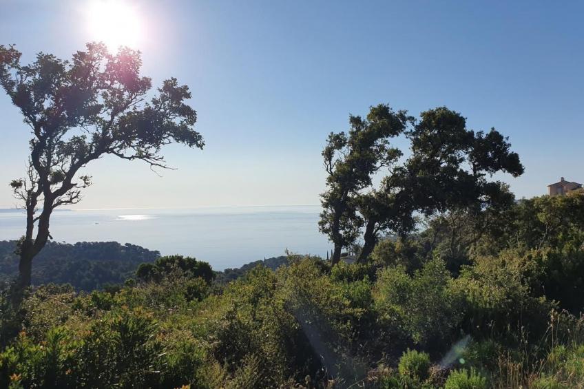 Gaou-Benat. Meerblick Private & bewachte Domäne. - foto 3