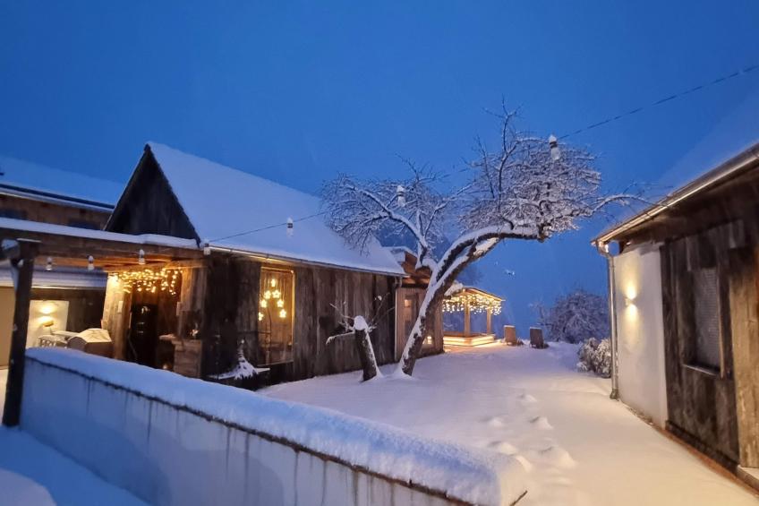Appartement Apollo in der Wohlfühloase am Trausdorfberg mit Sauna Whirlpoolnutz - foto 29