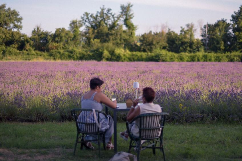 'Molinello albicocco' - foto 4