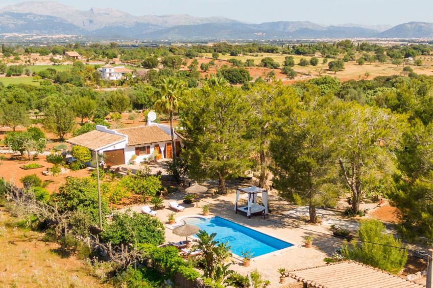 Mulet Llubi - foto 8