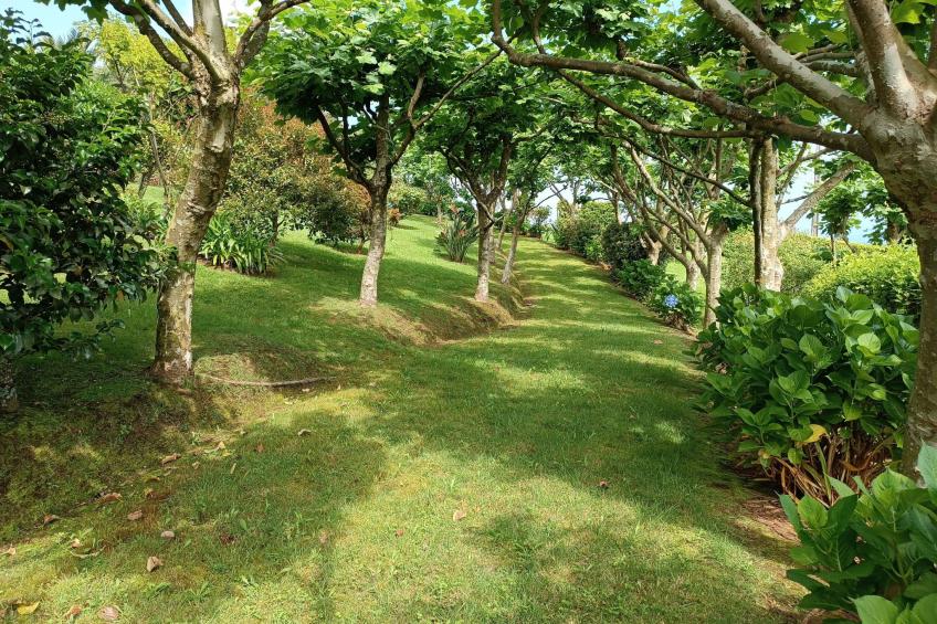 Casa da Fonte - Historisches Steinhaus auf den Azoren - foto 29