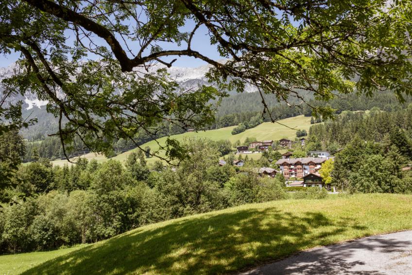 Studio Esche 1 - foto 41