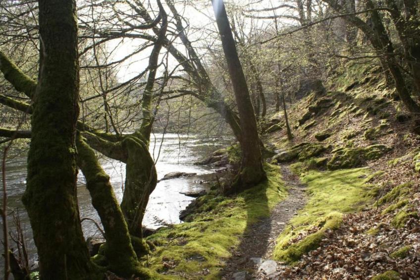 Petit Wilogne - foto 40