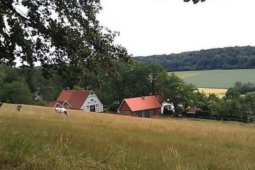 Schönes Ferienhaus in Brochterbeck mit Garten - foto 19