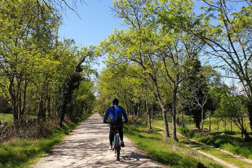 Fachwerkhaus "Casa Rural Picual" - foto 28