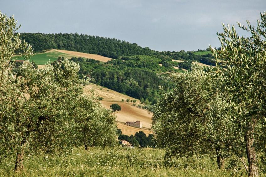 Il Melograno Panoramahaus - foto 25