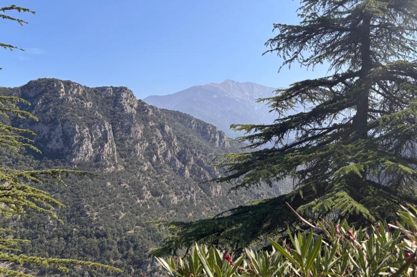 The Olive Retreat - foto 37