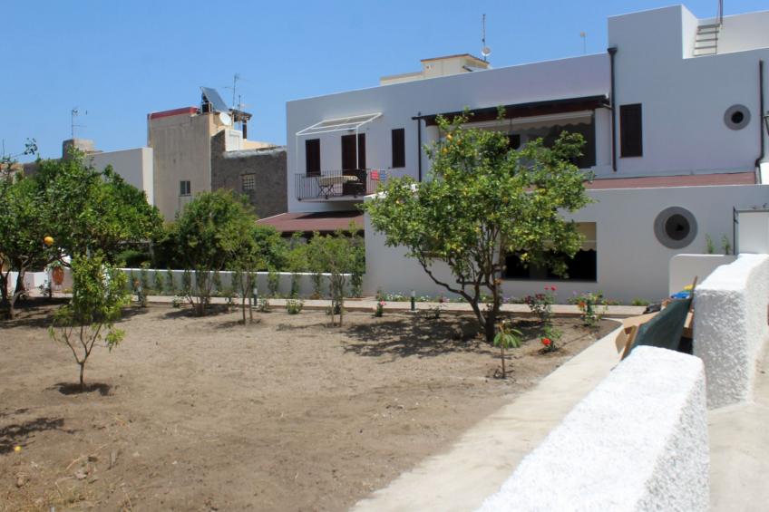 'Camelia ab 236 - foto 16