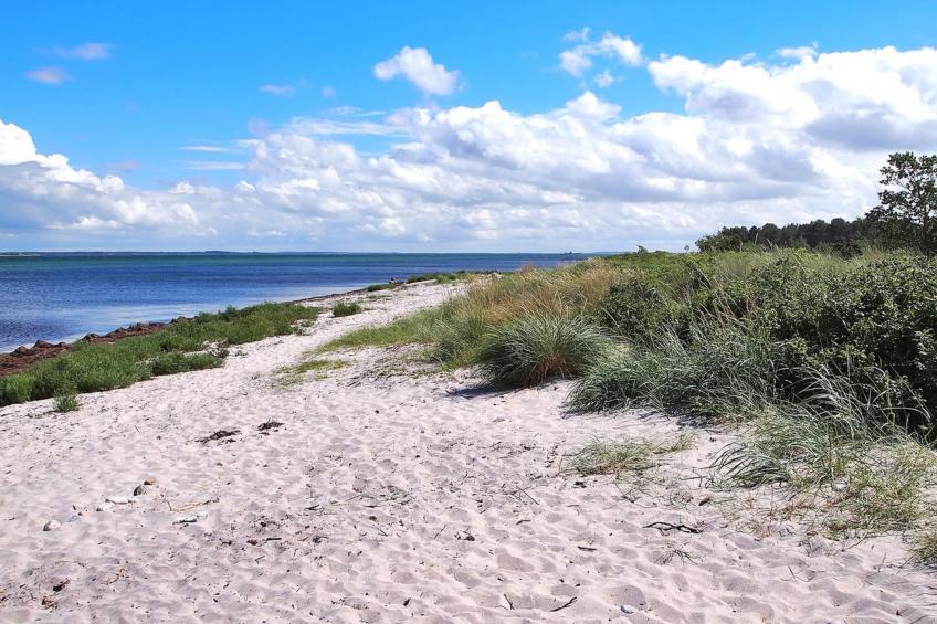 "Liselotte" - 200m from the sea in Sealand - foto 7