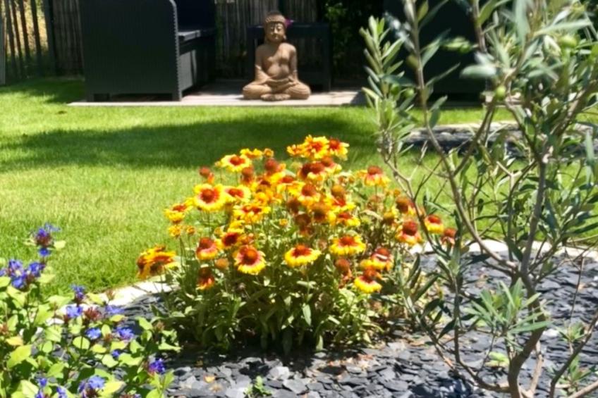 "Seepferdchen des Beckens" - foto 28