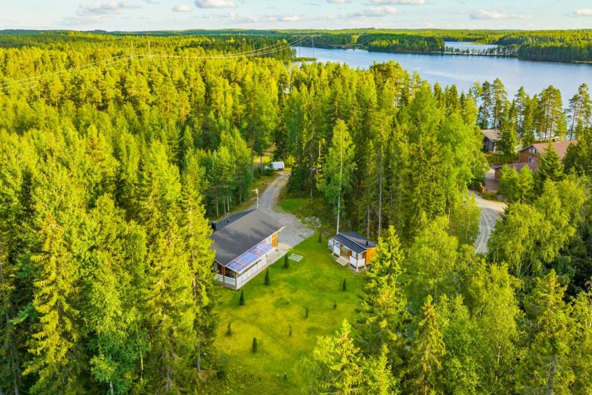 Aapeli iso - foto 18