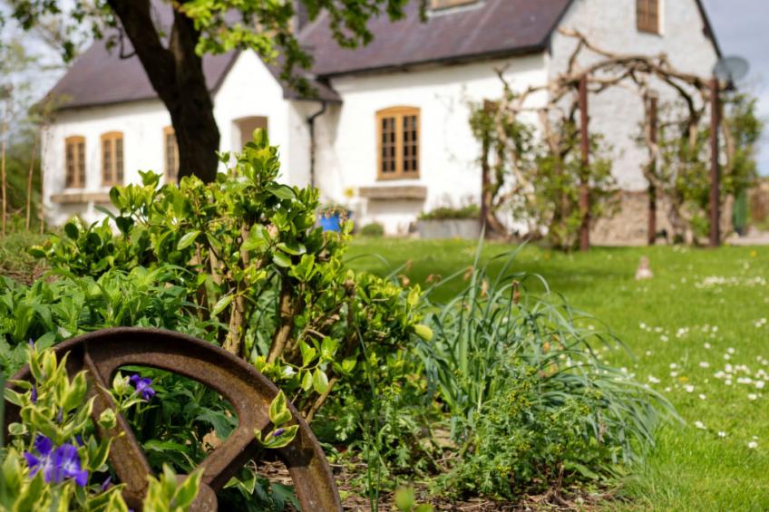Waen Farm Cottage - foto 7