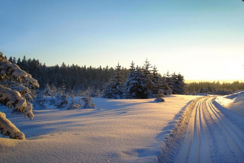 Jägersgrün - foto 27