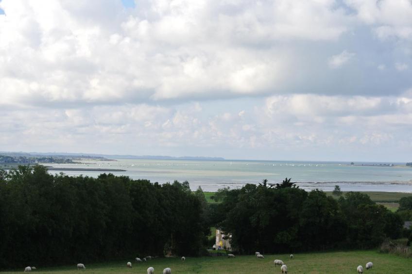 "Gîte de la Sienne" - foto 20