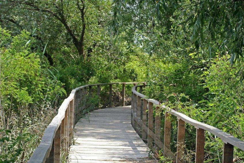 Hütte mit Garten, Grill und Terrasse - foto 38