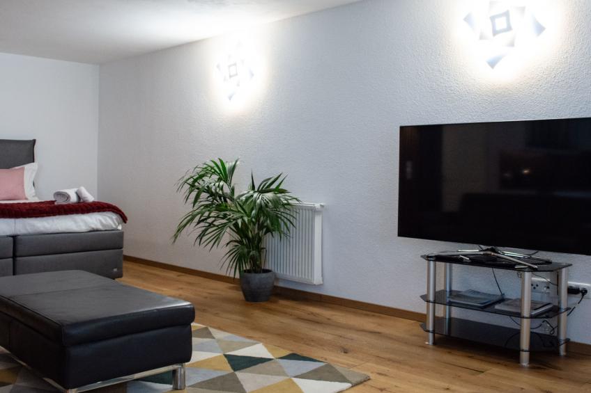 Luxury Studio Siena in Frechen-Bachem bei Köln. - foto 30