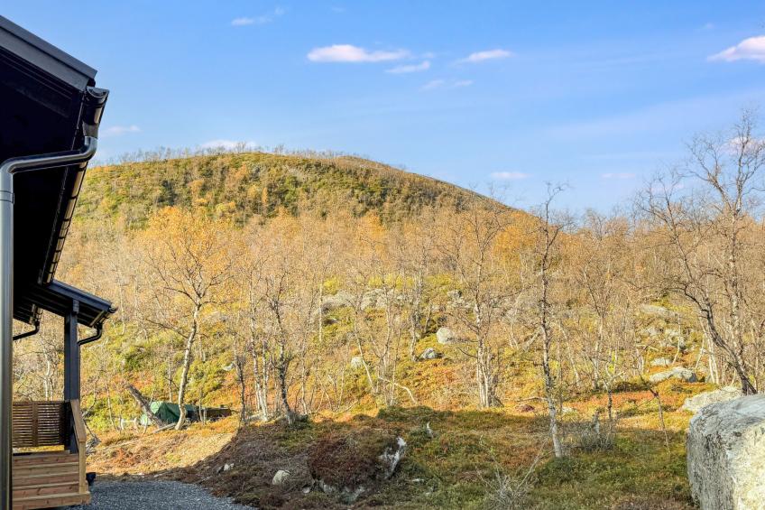 Saanan taika - foto 19