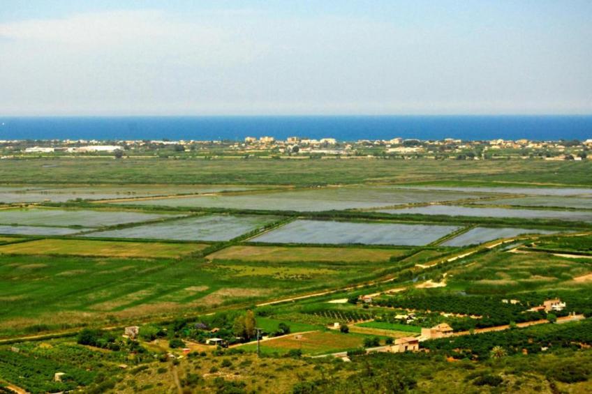 Casa Palmera - foto 31