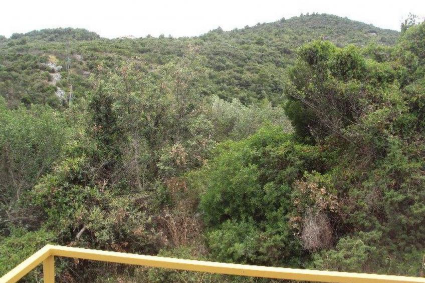 Schönes Apartment in Zaglav mit Außenkamin - foto 49