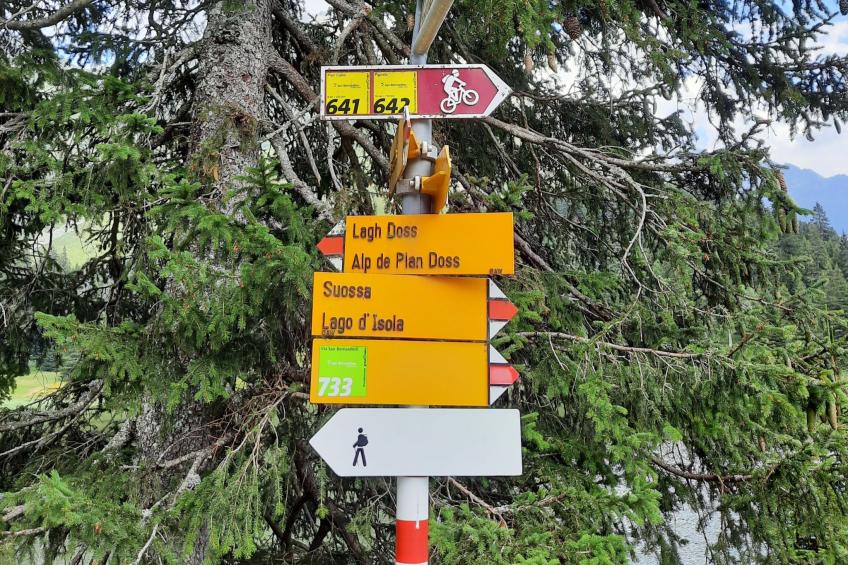 Nido delle Alpi - foto 29