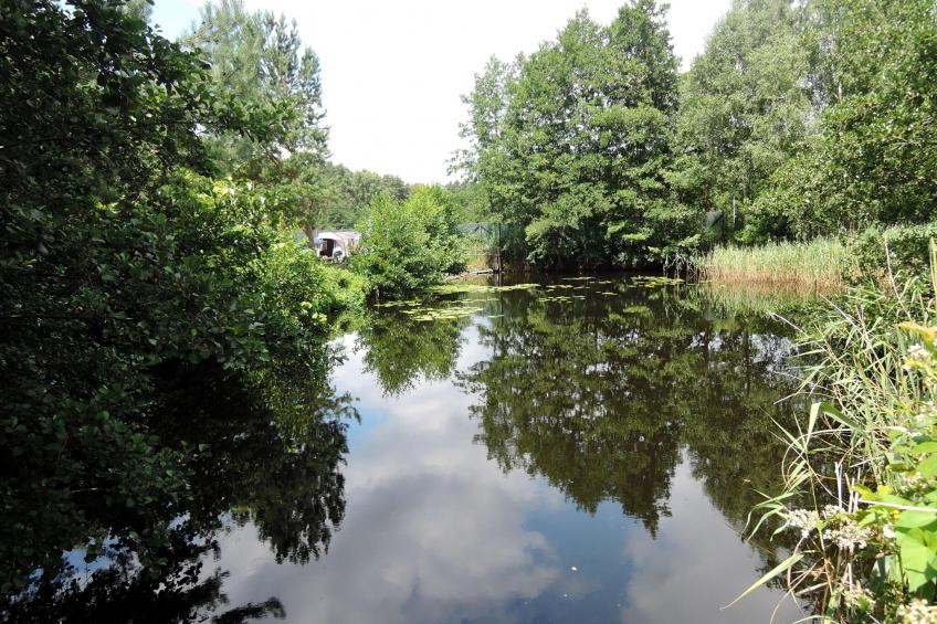 Pod świerkami pokój nr 3 dla 1 osoby - foto 24