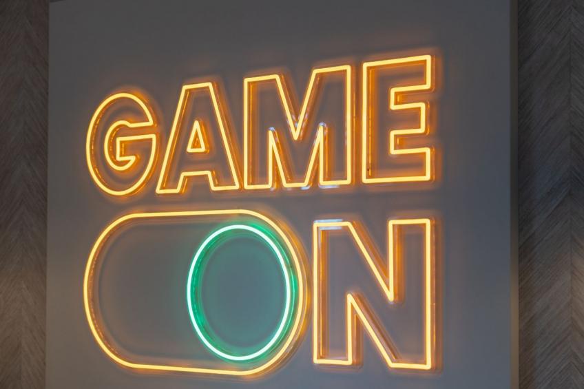 Premium Game and Grill 20p - foto 12