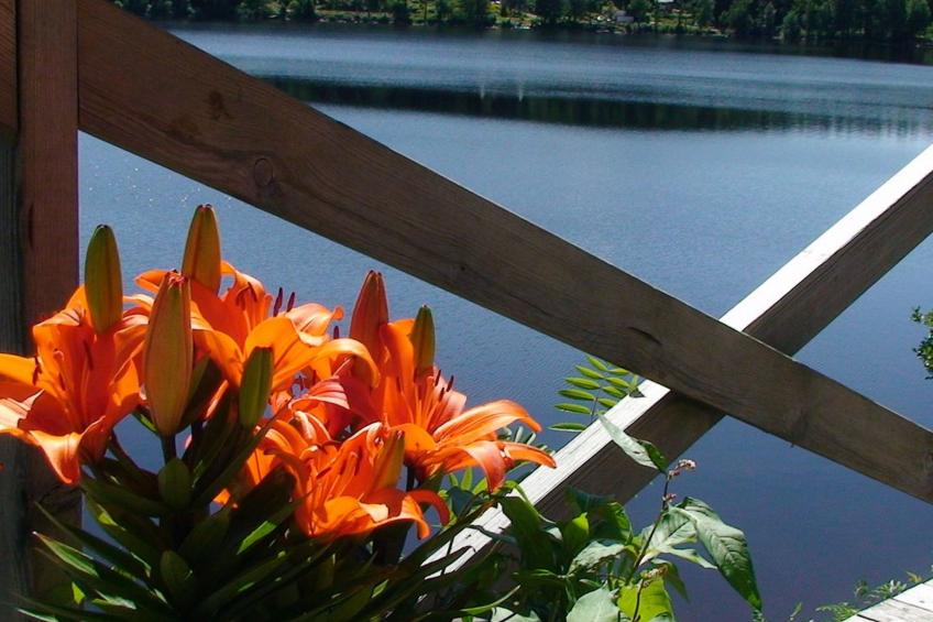 "Évika 1" mit Sauna - foto 10