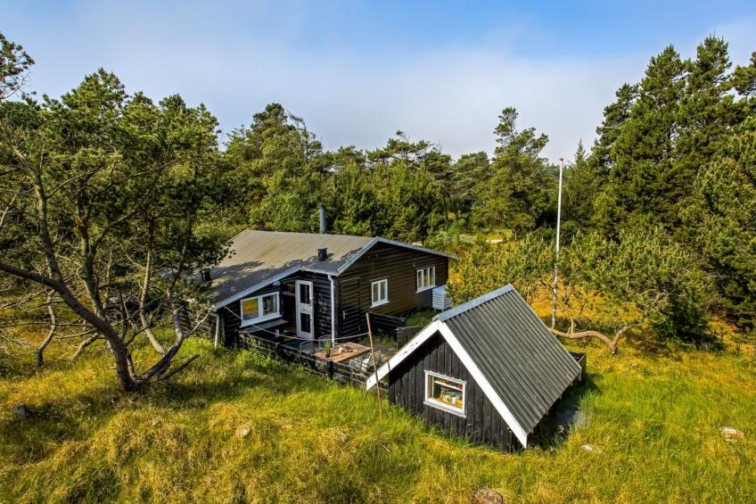"Gaelle" - 800m from the sea in Western Jutland