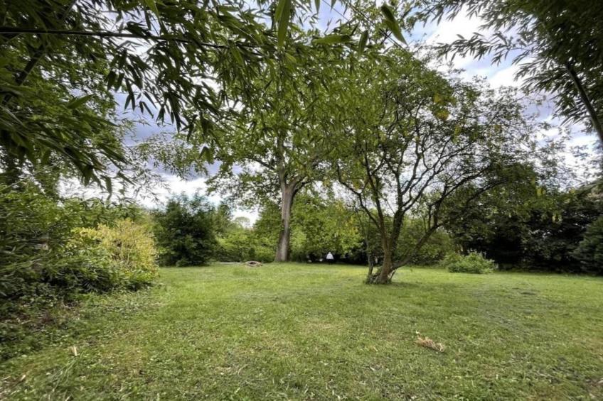 Maison de vacances - SCHLEITHAL - foto 34