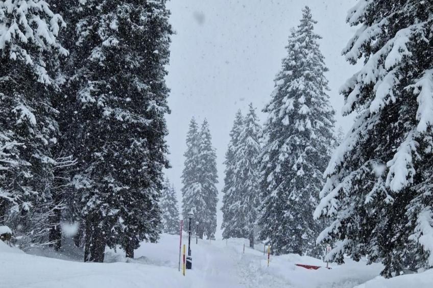 Wohnung Bella vista & Alp'sport - foto 45